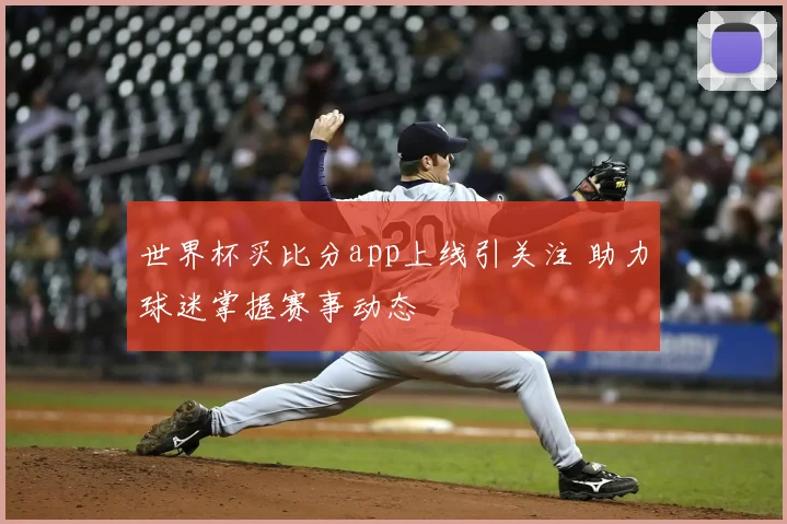 世界杯买比分app上线引关注 助力球迷掌握赛事动态